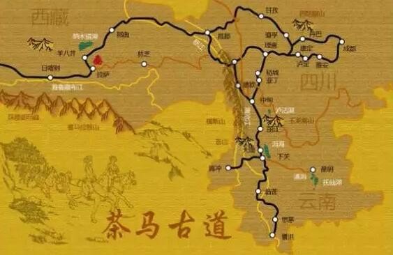 茶馬古道(dào)：普洱茶文(wén)化(huà)之魂